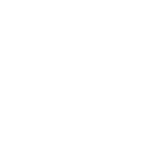 Reign of Ronin